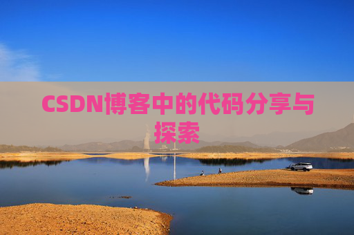 CSDN博客中的代码分享与探索